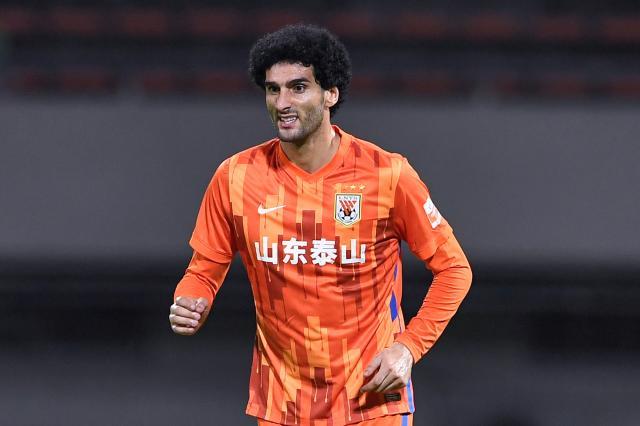 1639445598686024618.jpg 费莱尼.jpg